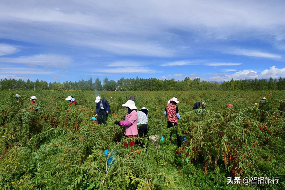 多彩美乌兰，风光无限美