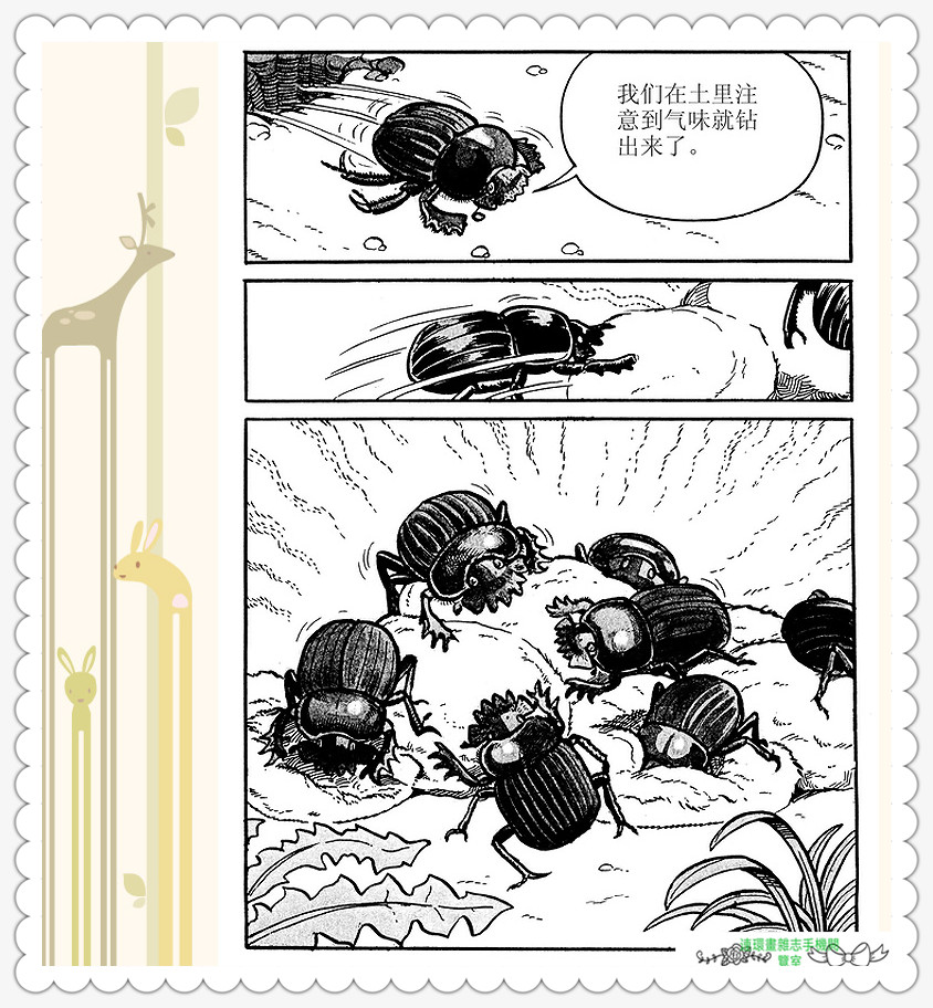 昆虫记法布尔正版全集,昆虫记法布尔阅读答案