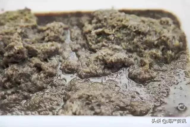 黄渤海海鲜种类,黄渤海渔场海鲜价格