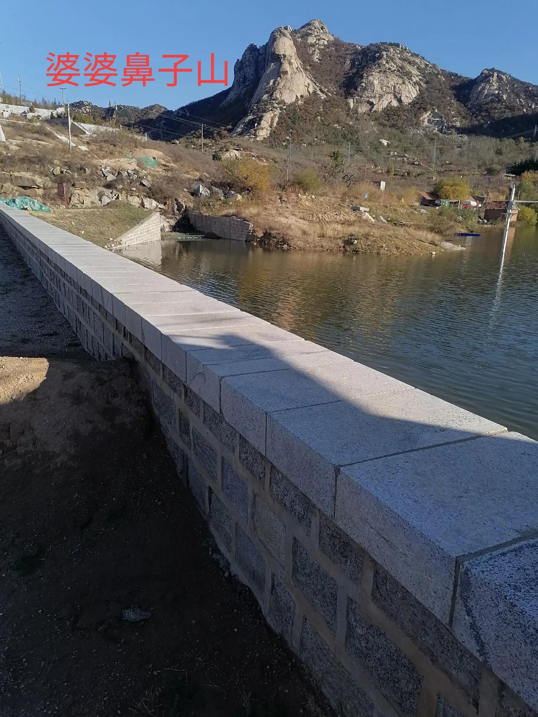 中国柿子之乡,柿子之乡的柿文化