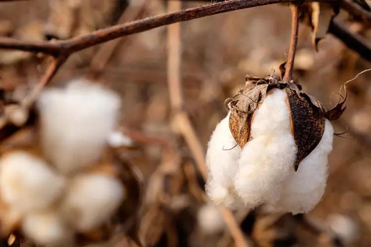 中国人过年，讲究辞旧迎新！床品换新一定要注意这3点