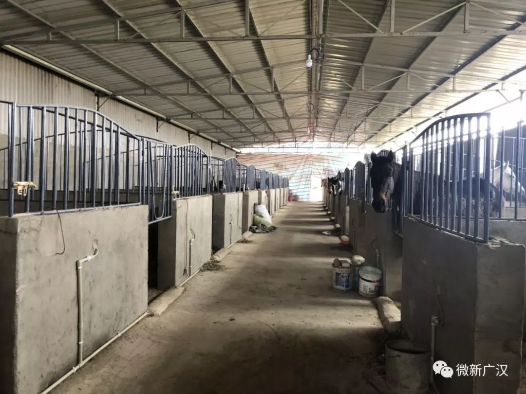 游记|来和兴吧！这里的美景美食每一样都超skr~