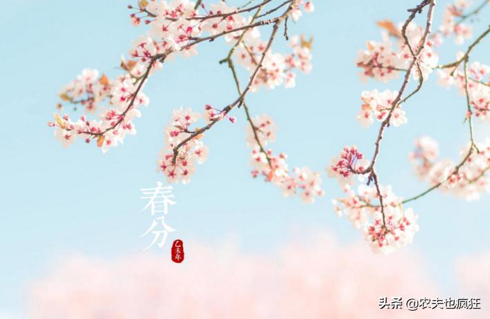 春分的基本含义特征是什么,春分节气的含义的理解