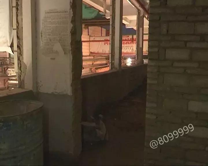 农贸市场顶棚坍塌致1死1伤,农贸市场房屋倒塌事件