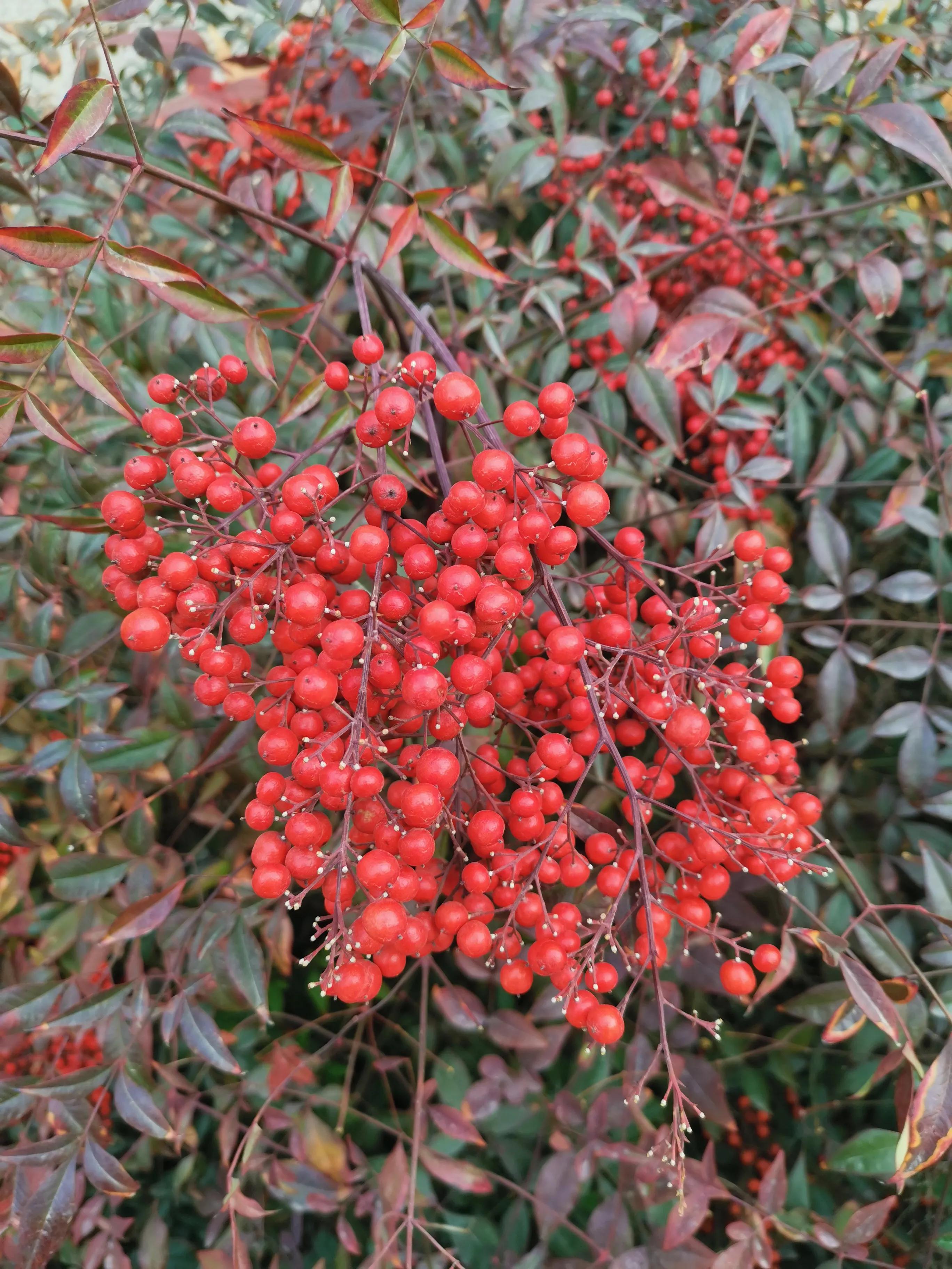 法律服务行业现状及发展趋势,法律服务行业新模式