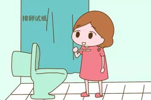 孕期超声检查是什么,准妈妈检查流程