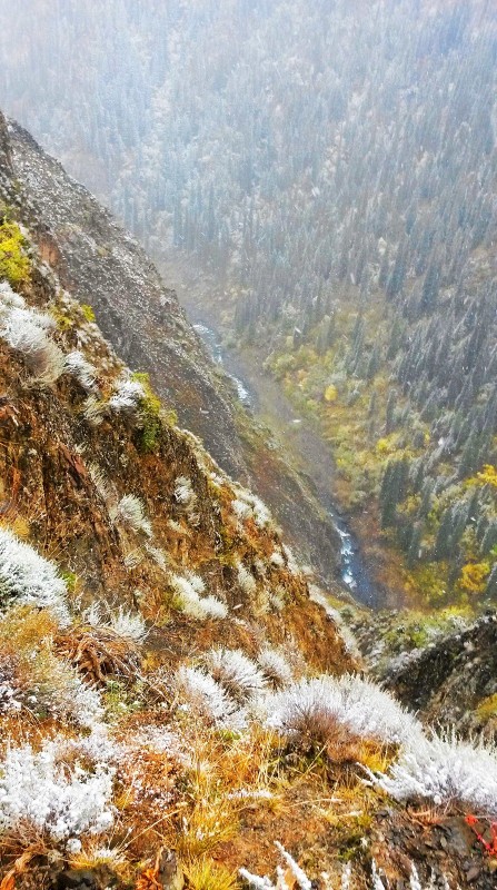 带上UL从狼塔C回家