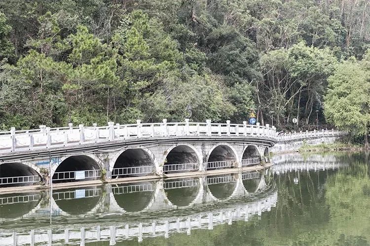 深圳吃喝玩乐两日游推荐,深圳周边游吃喝一日游推荐