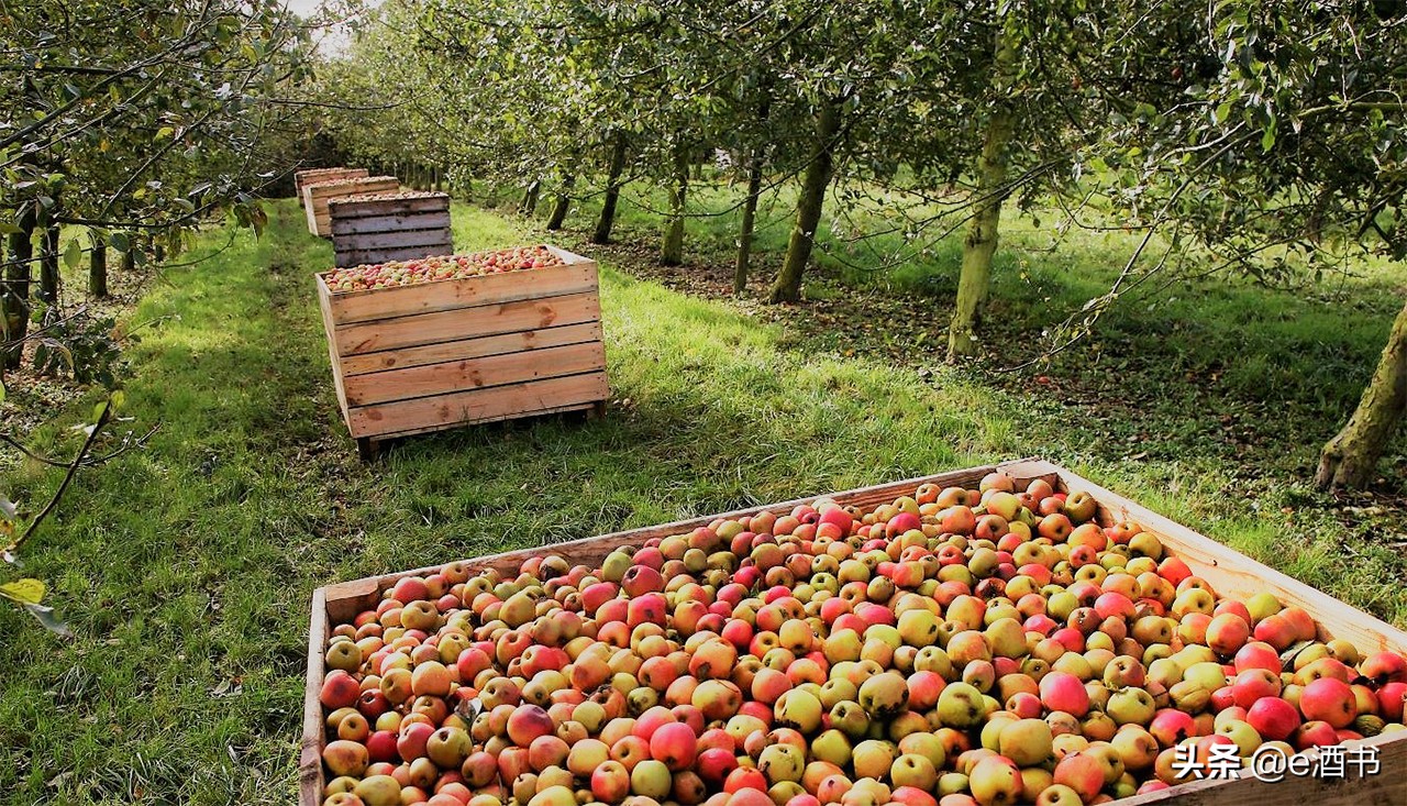 苹果酒兑雪碧好喝吗,苹果酒applewine