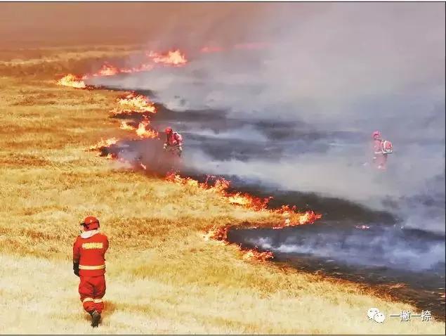什么样的照片可以放到屏幕上,什么样的照片容易获奖
