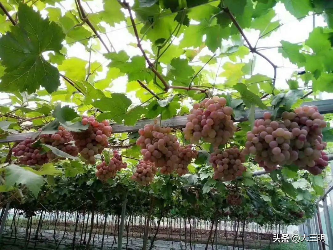 宁化同城房产,宁化同城找工作招聘信息最新