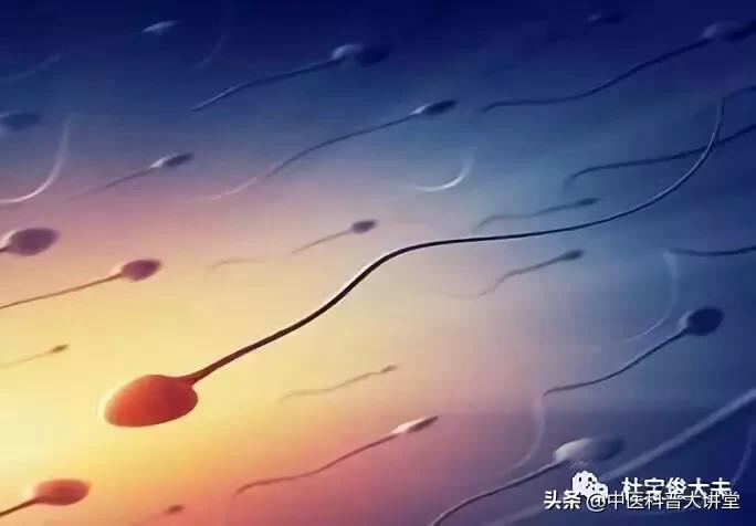 精子报告怎么看是正常,男子正常精子的报告单