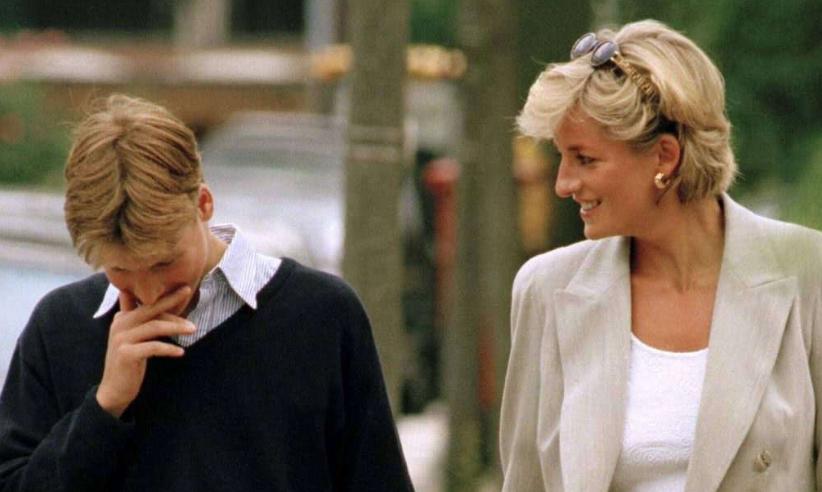 威廉哈里王子揭开戴安娜雕像,戴安娜王妃雕像威廉