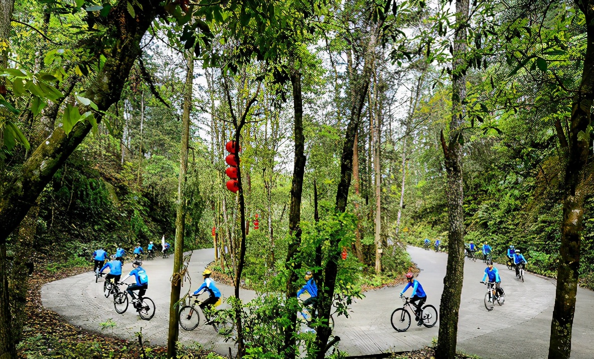 中国绿都最氧三明,中国最氧三明花海