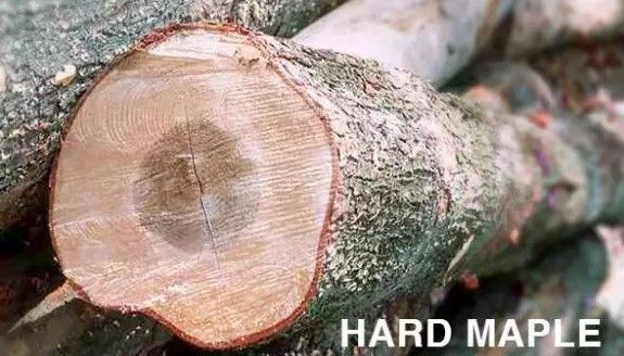 滑板新手长板入门选什么样的滑板,是小鱼型滑板好还是双翘型滑板好