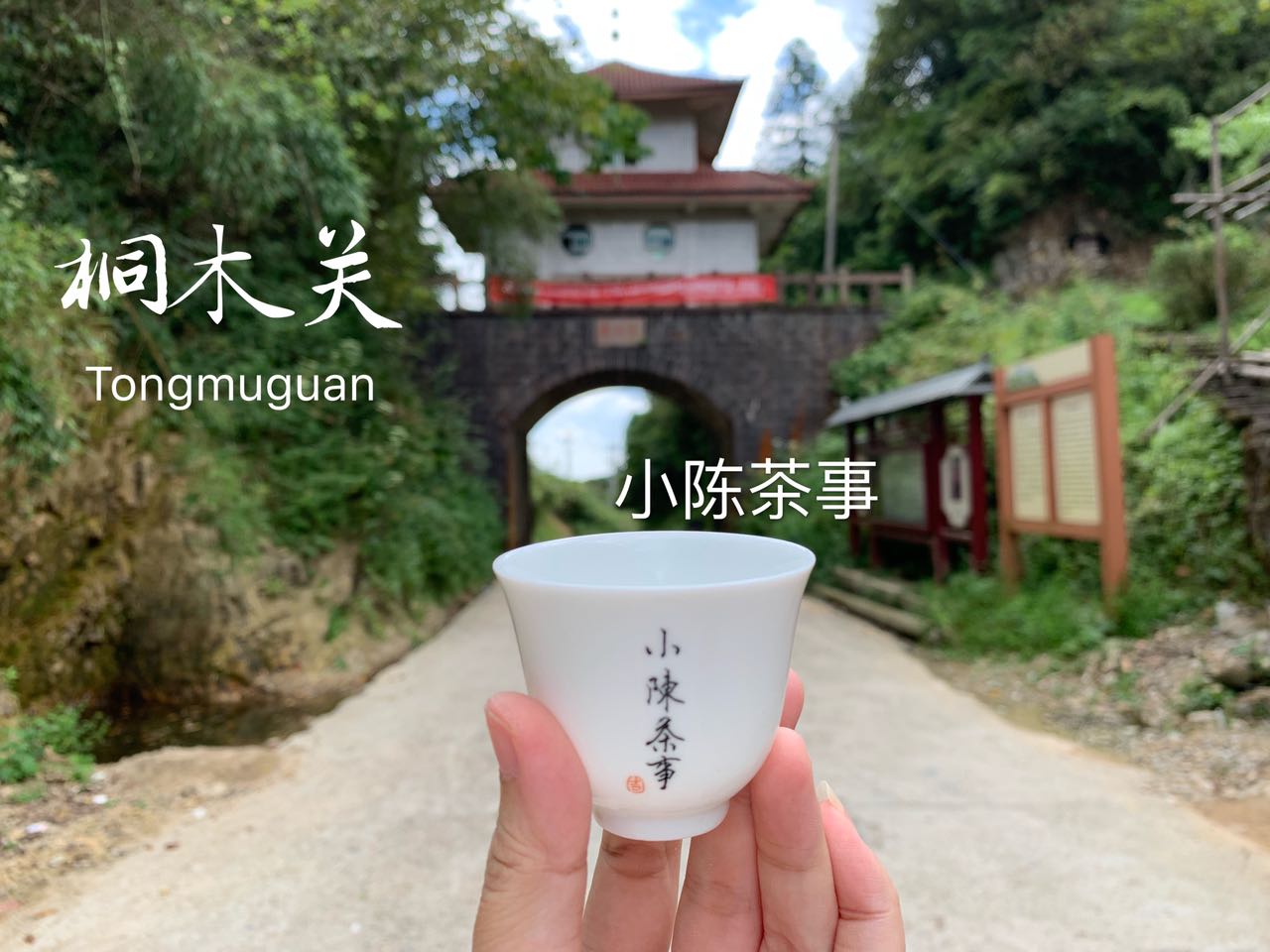 假红茶金骏眉,金骏眉红茶打假