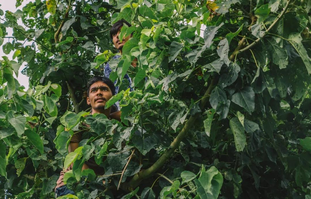 *局骗**和微笑,3000元带你体验双面尼泊尔