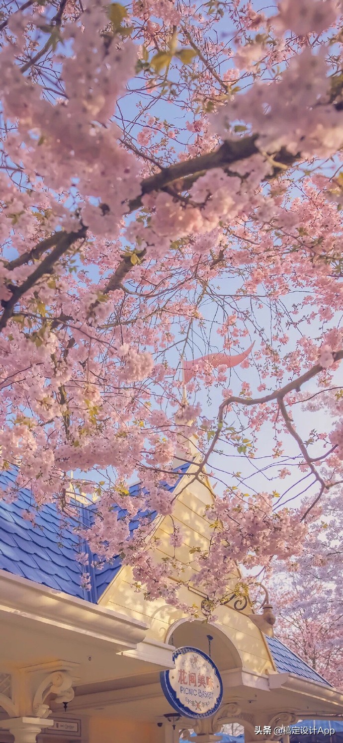 压箱底高清无水印壁纸,压箱底壁纸分享绿色护眼