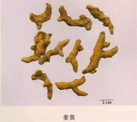 中药材图片大全大图带药名,200多味中药材图谱带图
