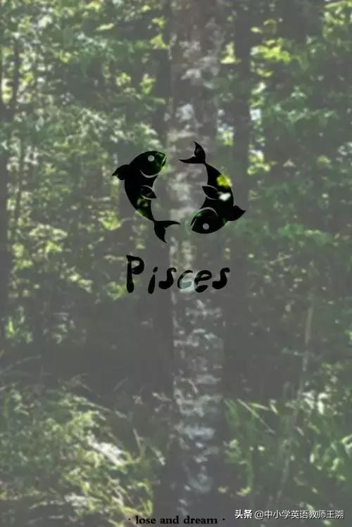 趣味英文字母学习与发音,趣味学英语经典语法