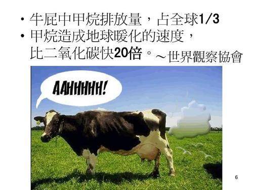 南极变暖意味着什么,南极变绿带来的影响