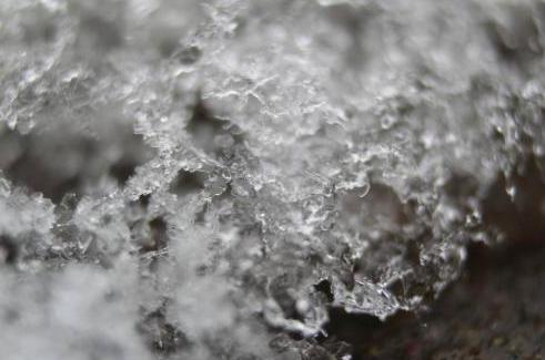 新型冠状病毒经消化道传播吗,新型病毒粪口传播