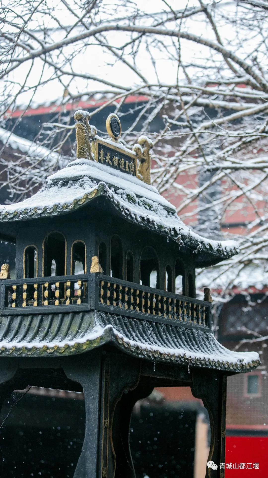 无雪不成冬,都江堰玩雪一日游