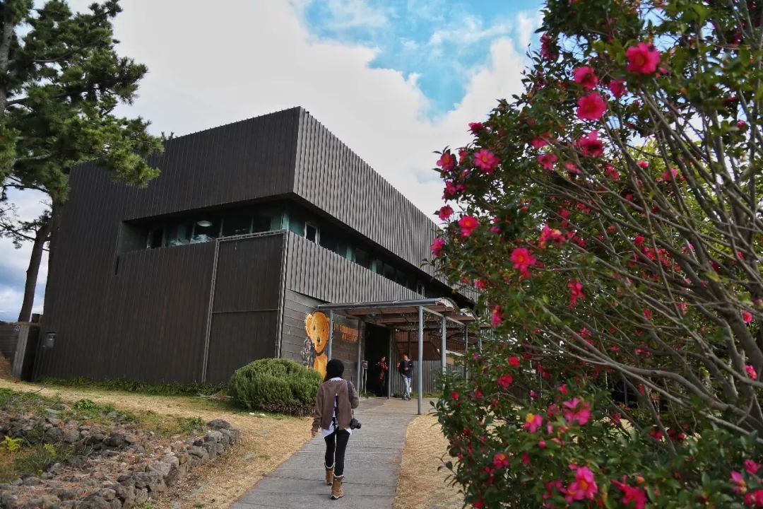 济州岛7天攻略,冬日济州岛旅游攻略4日游