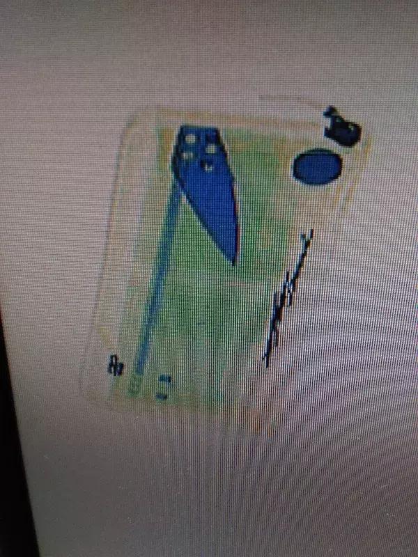 法警安检的动作要领和顺序包括,法警对人民法院安检过程