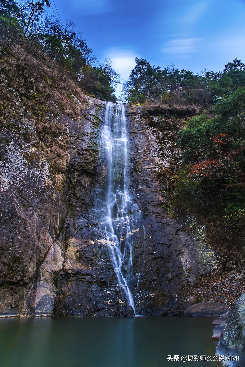 皖西大别山原始森林,华东最后一座原始森林