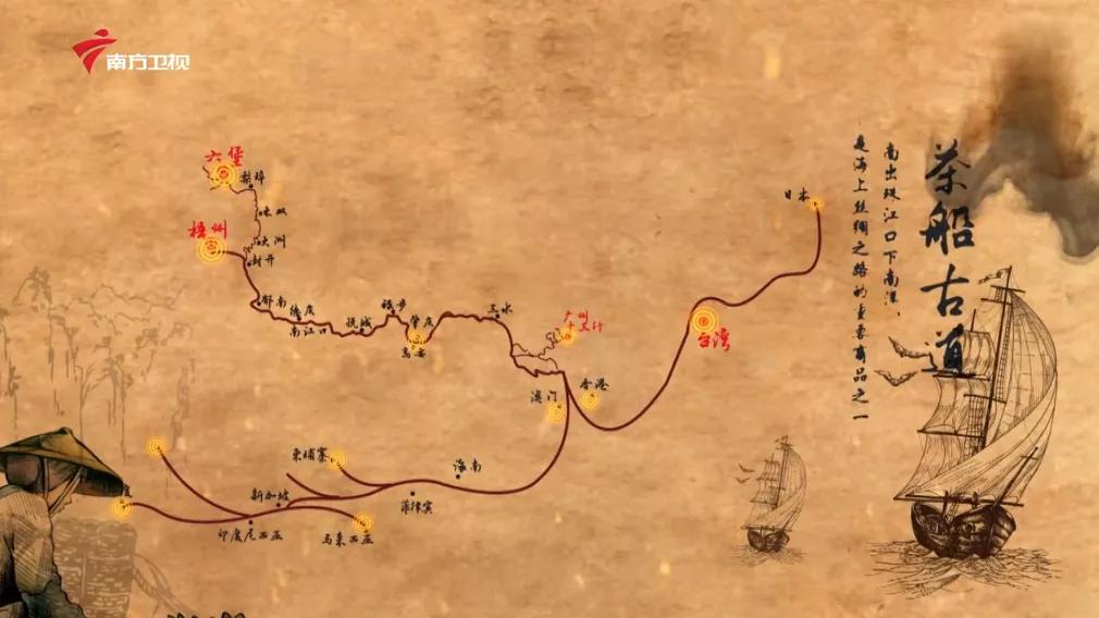 广西上品六堡茶,广西六堡茶业