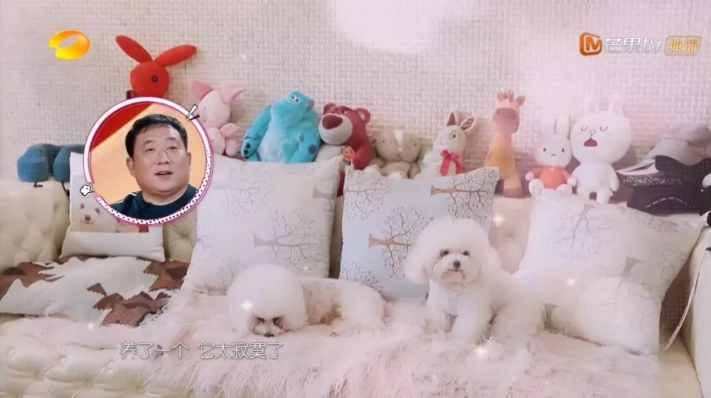 女神节福利？！看完这四位女神的家，我想。。。