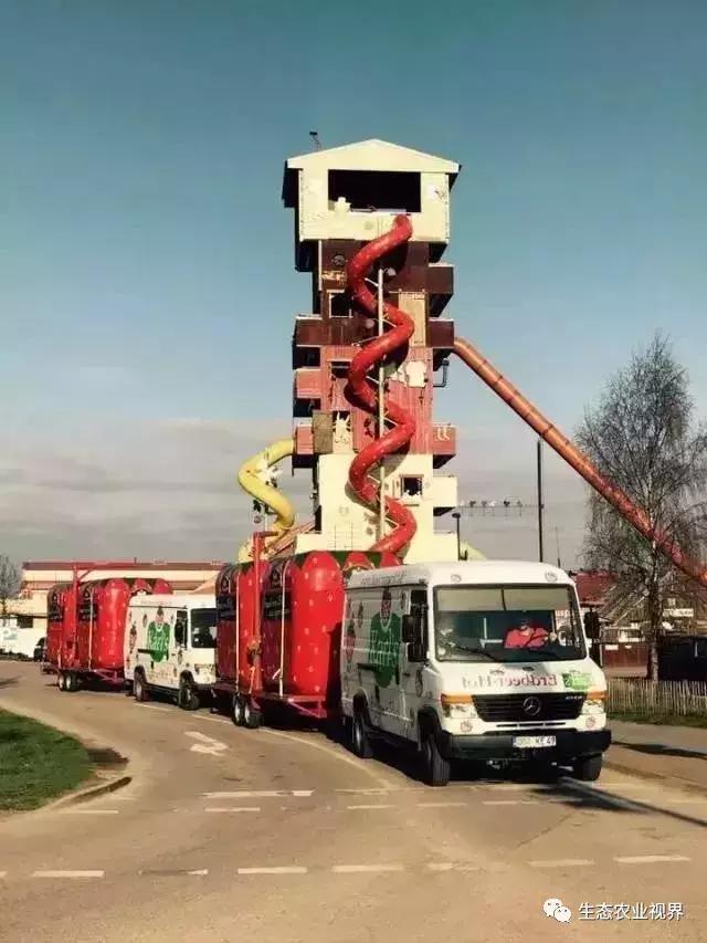 用一颗草莓吸引5百万游客,开5家主题乐园、4家超市、300个草莓屋