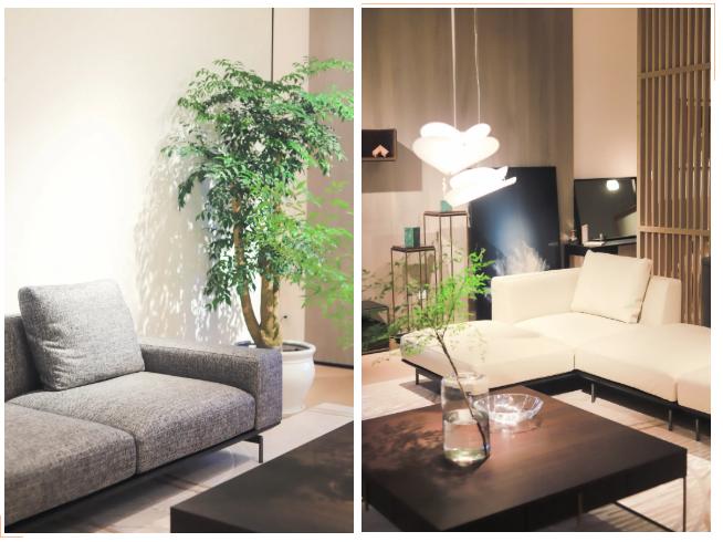 居姐探店:HC28丨都汇里,以设计之力,向美而生