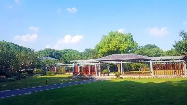 上海可以一路玩下来的地铁线,上海最新41条地铁