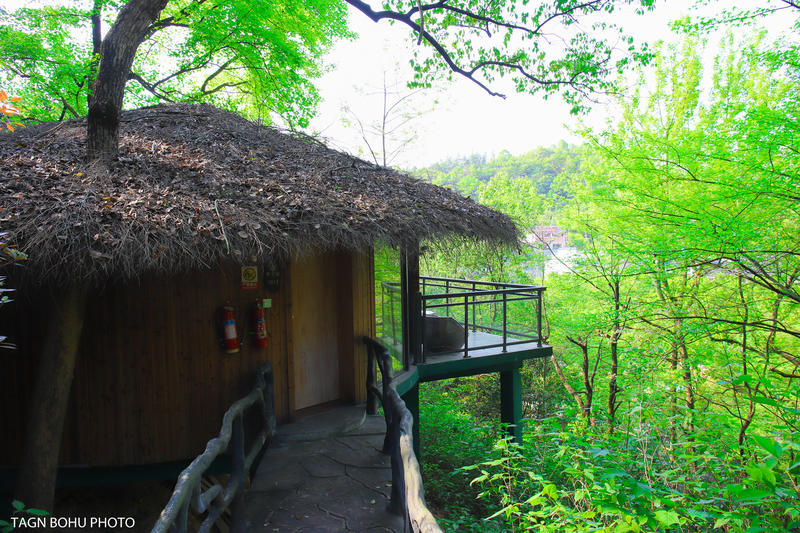 衢州飞越丛林探险乐园,浙江衢州深山