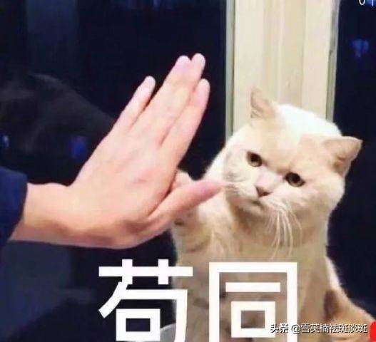 脸上斑怎么去除用什么医美,脸上的斑如何去除5个祛斑小妙招