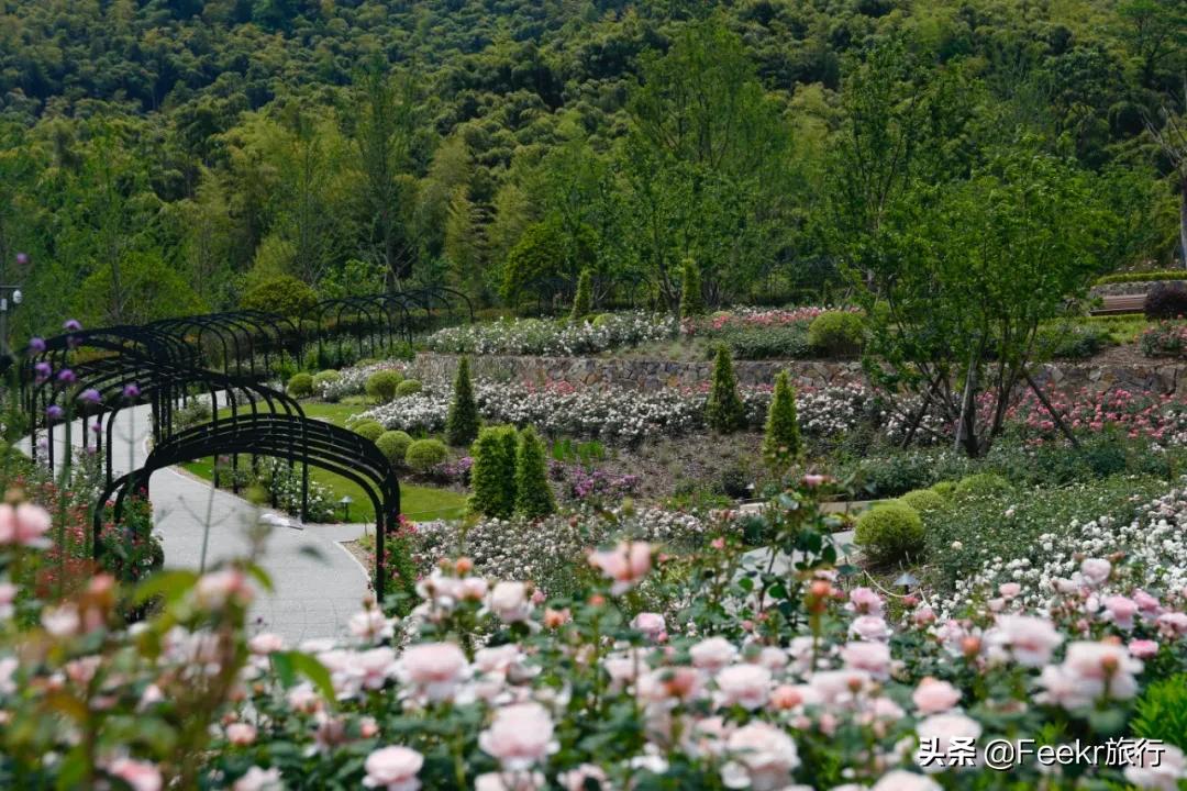 五一莫奈庄园一日游,五一不出游在家门口看风景