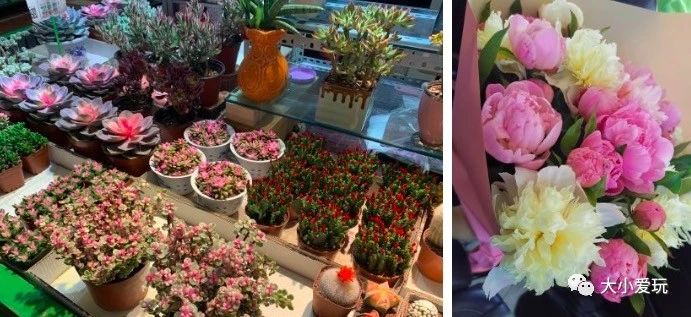 过年必逛花卉市场,北京值得去的花卉市场