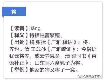 南阳方言和河南话,河南南阳方言你听得懂吗