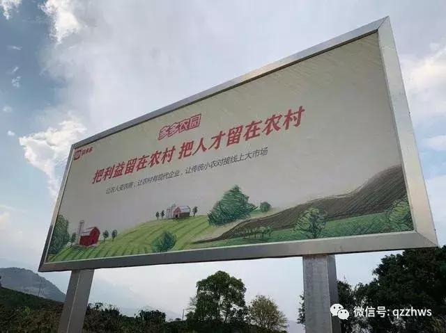 拼多多突破100万销量,2019年拼多多农产品交易额