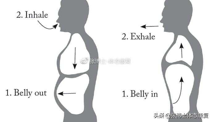您了解腹式呼吸吗,腹式呼吸名词解释