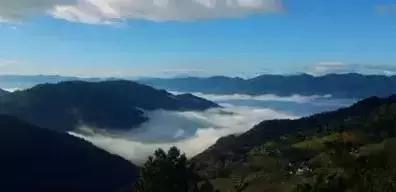 中国六大普洱茶山,普洱真正的六大茶山