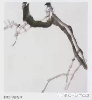 写意柿子叶的画法步骤图,徐湛写意柿子的画法