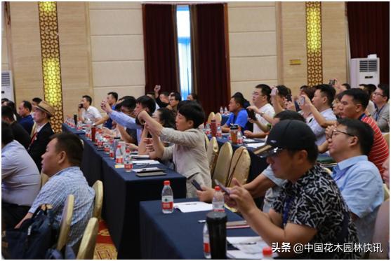 行业盛会视频,行业精英齐聚展会