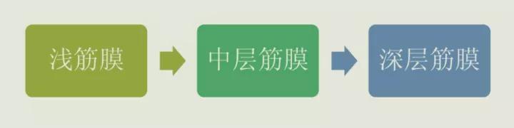 筋膜增肌的正确方法,无论是减脂还是增肌