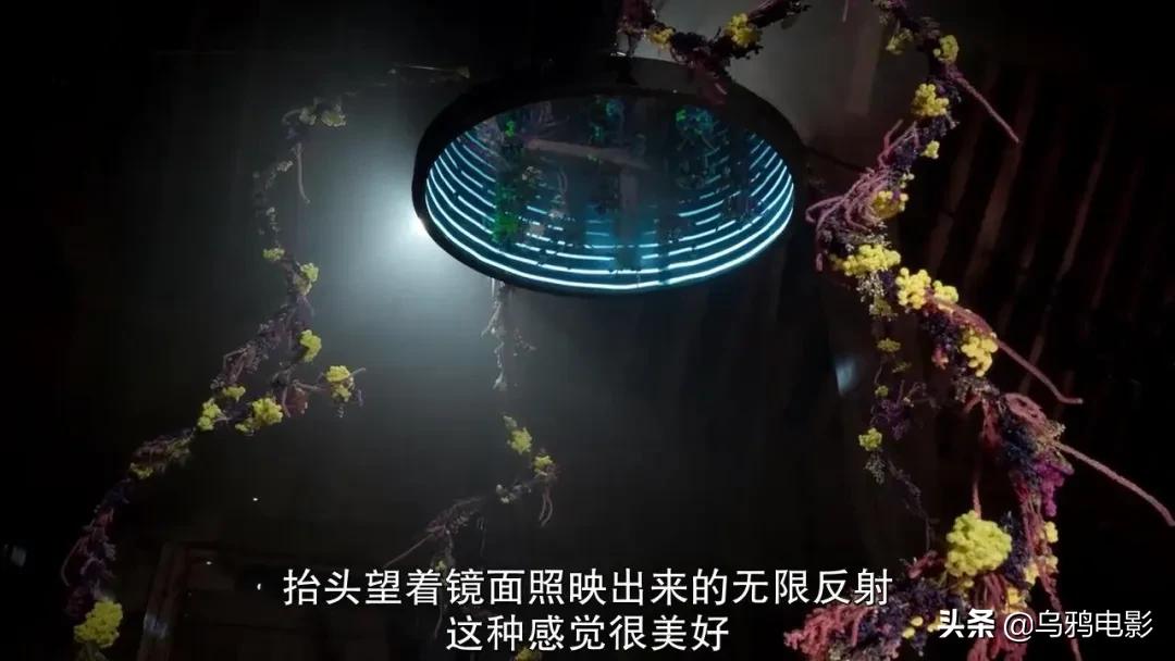 这也能拍出花?网飞又开挂了,每集都让我惊掉下巴