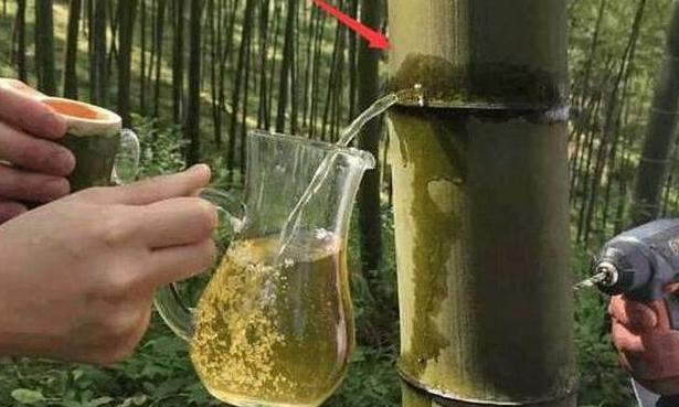 红极一时竹筒酒突然消声,最知名真正的竹筒酒