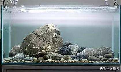 造景鱼缸最适合养的植物,鱼缸造景都适合什么鱼