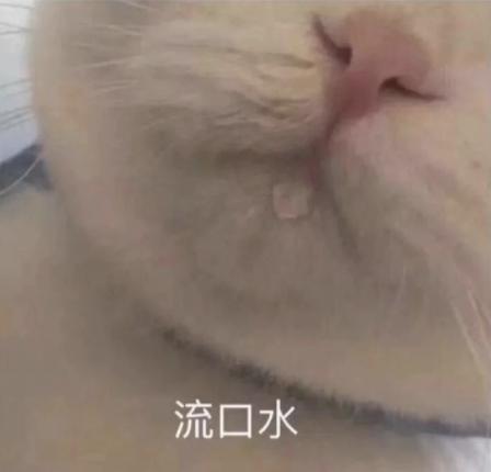 柳州螺蛳粉是不是有各种不同,柳州螺蛳粉到底有几种